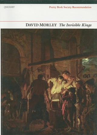 Könyv Invisible Kings David Morley