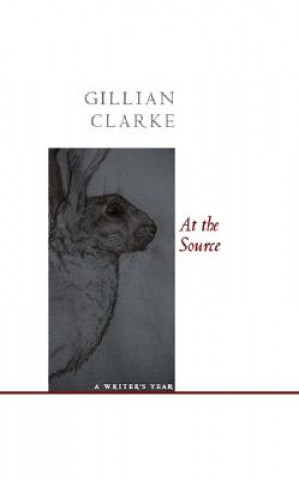 Kniha At the Source Gillian Clarke