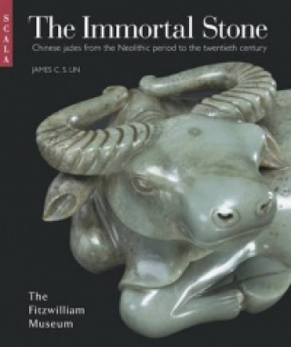 Kniha Immortal Stone James Lin