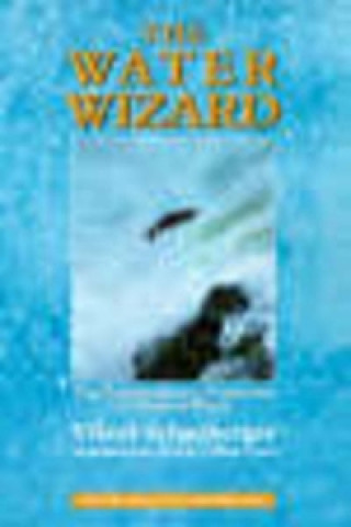 Kniha Water Wizard Viktor Schauberger