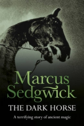 Книга Dark Horse Marcus Sedgwick