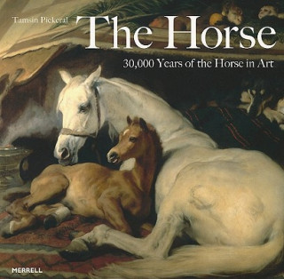 Kniha Horse Tamsin Pickeral