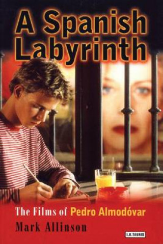 Könyv Spanish Labyrinth Mark Allinson
