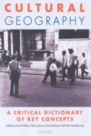 Książka Cultural Geography David Atkinson