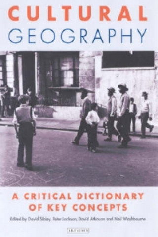 Livre Cultural Geography David Atkinson