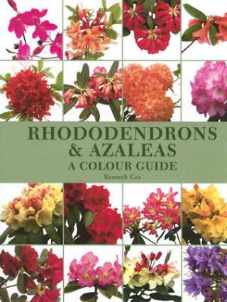 Carte Rhododendrons and Azaleas - A Colour Guide Kenneth Cox