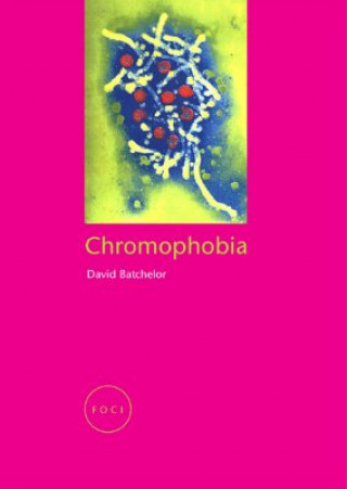 Książka Chromophobia David Batchelor
