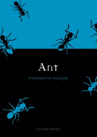 Kniha Ant Charlotte Sleigh