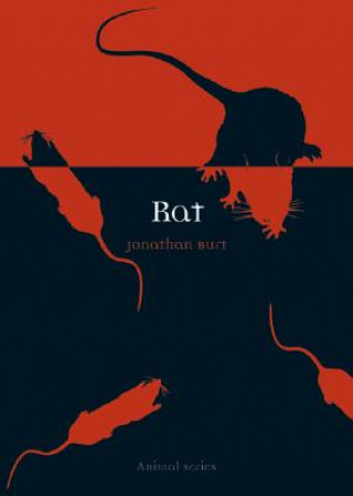 Book Rat Jonathan Burt