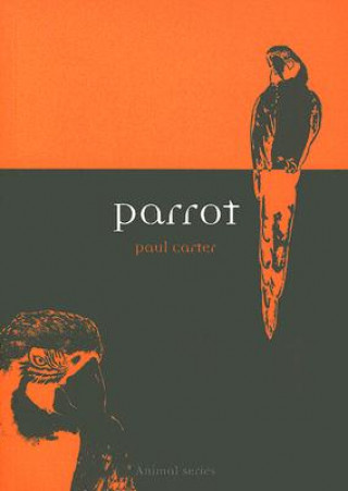 Kniha Parrot Paul Carter