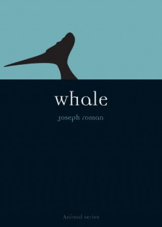 Książka Whale Joseph Roman