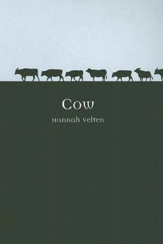 Kniha Cow Hannah Velten