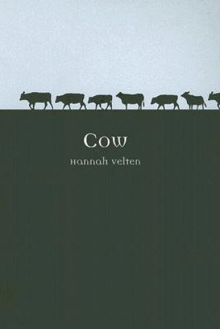 Książka Cow Hannah Velten