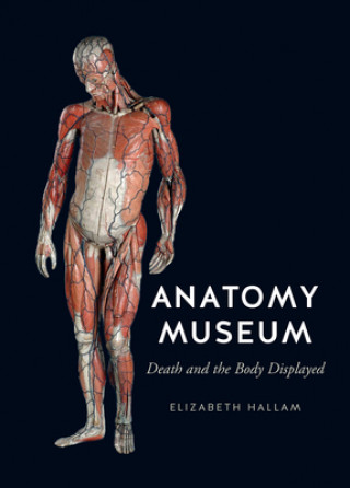 Книга Anatomy Museum Elizabeth Hallam