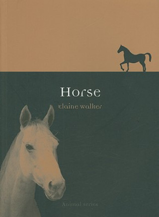 Könyv Horse Elaine Walker