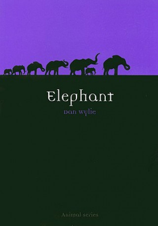 Könyv Elephant Dan Wylie