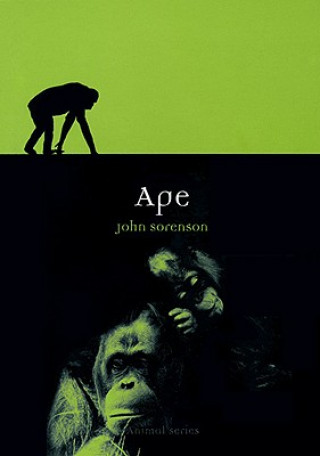 Kniha Ape John Sorensen