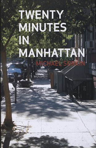 Könyv Twenty Minutes in Manhattan Michael Sorkin