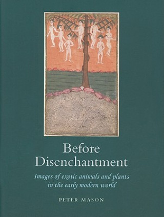 Kniha Before Disenchantment Peter Mason