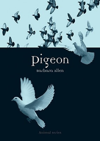 Livre Pigeon Barbara Allen