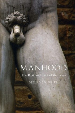 Könyv Manhood Mels VanDriel