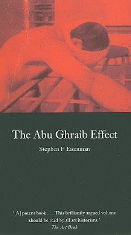 Buch Abu Ghraib Effect Stephen F Elsenman