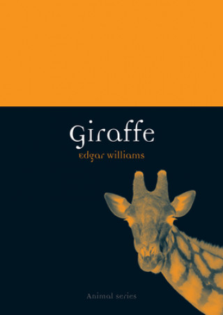 Kniha Giraffe Edgar Williams