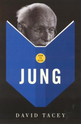 Kniha How To Read Jung David Tacey