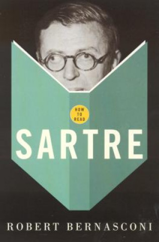 Kniha How To Read Sartre Robert Bernasconi