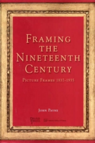 Könyv Framing the Nineteenth Century 