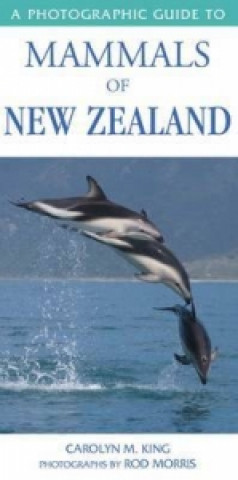 Könyv Photographic Guide To Mammals Of New Zealand Carolyn King