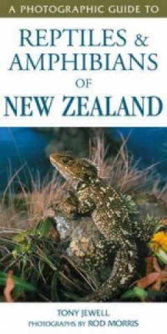 Book Photographic Guide To Reptiles & Amphibians Of New Zealand Tony Jewell