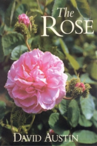 Kniha Rose David Austin