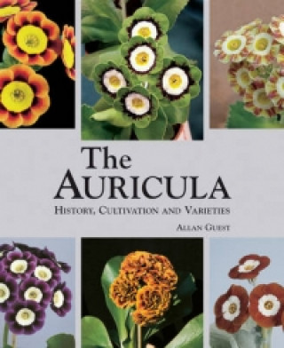 Kniha Auricula: History, Cultivation and Varieties Allan Guest