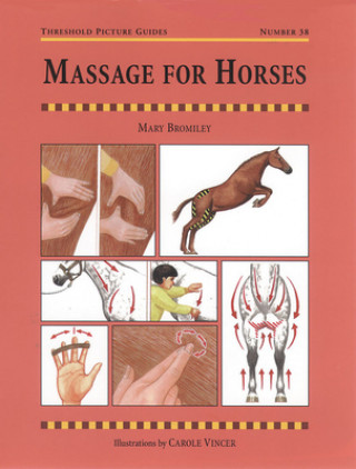 Kniha Massage for Horses Mary Bromiley