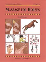 Carte Massage for Horses Mary Bromiley