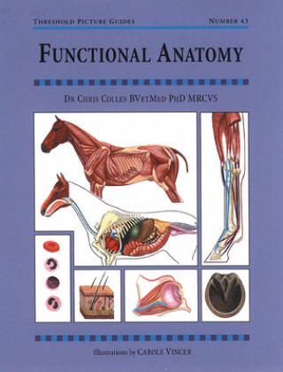 Kniha Functional Anatomy Chris Colles