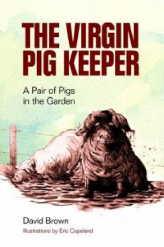 Kniha Virgin Pig Keeper David Brown