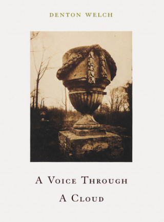 Kniha Voice Through Cloud Denton Welch