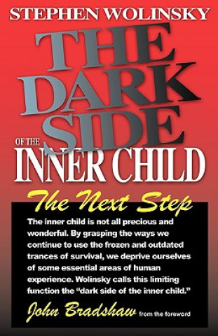 Kniha Dark Side of the Inner Child Stephen Wolinsky