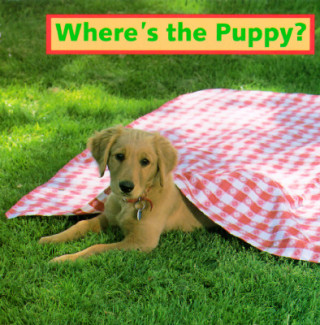 Könyv Where's the Puppy? Cheryl Christian