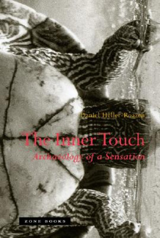 Buch Inner Touch Daniel Heller-Roazen