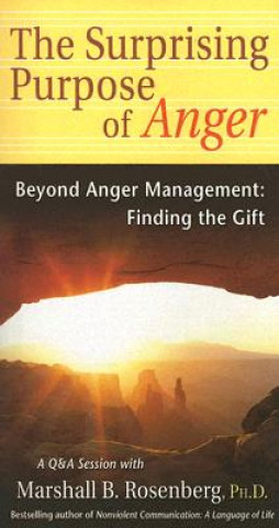 Kniha Surprising Purpose of Anger Rosenberg