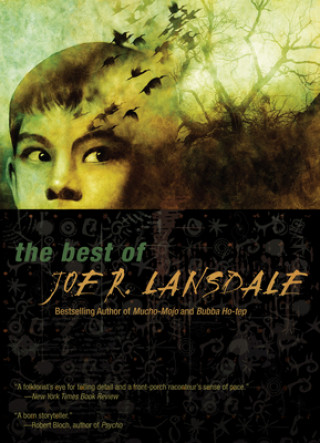 Kniha Best of Joe R. Lansdale Joe Lansdale