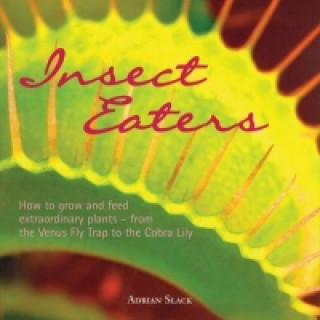 Книга Insect Eaters Adrian Slack