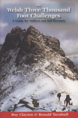 Buch Welsh Three Thousand Foot Challenges Roy Edward Clayton