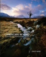 Könyv Landscape Beyond David Ward