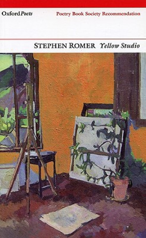 Kniha Yellow Studio Stephen Romer