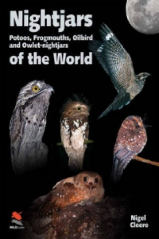 Könyv Nightjars, Potoos, Frogmouths, Oilbird, and Owlet-nightjars of the World Nigel Cleere