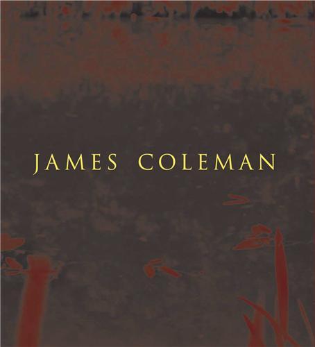 Buch James Coleman Luke Gibbons